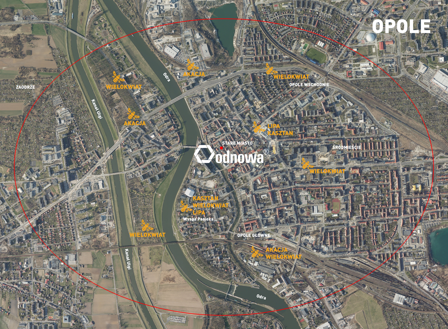 Mapa lotu pszczół