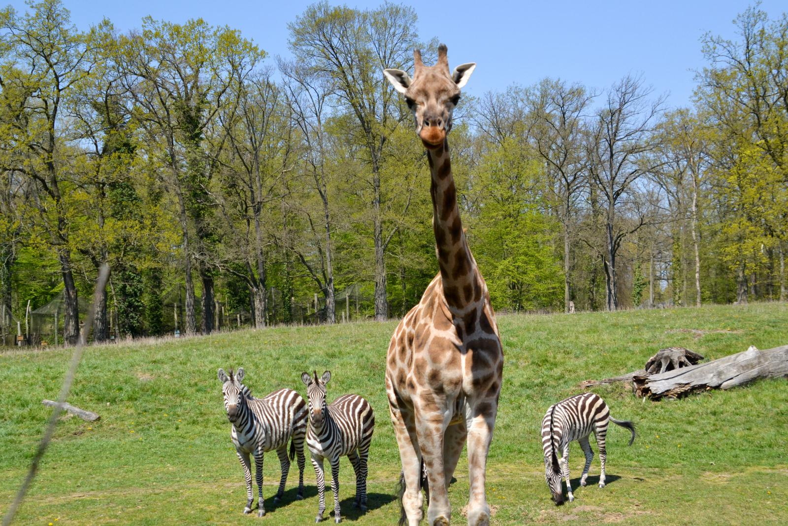 Zoo Opole, fot. Anna Parkitna