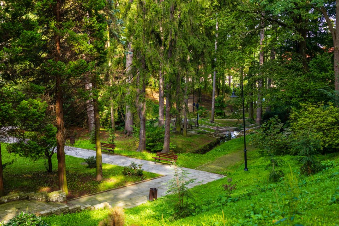Głuchołazy