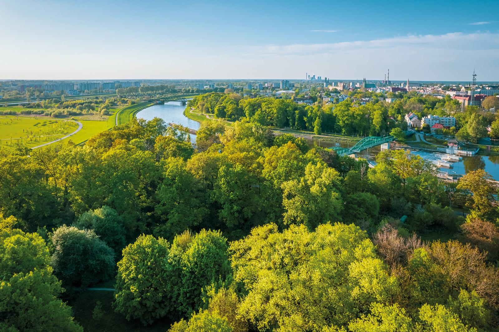 Fot. Grzegorz Naszkiewicz