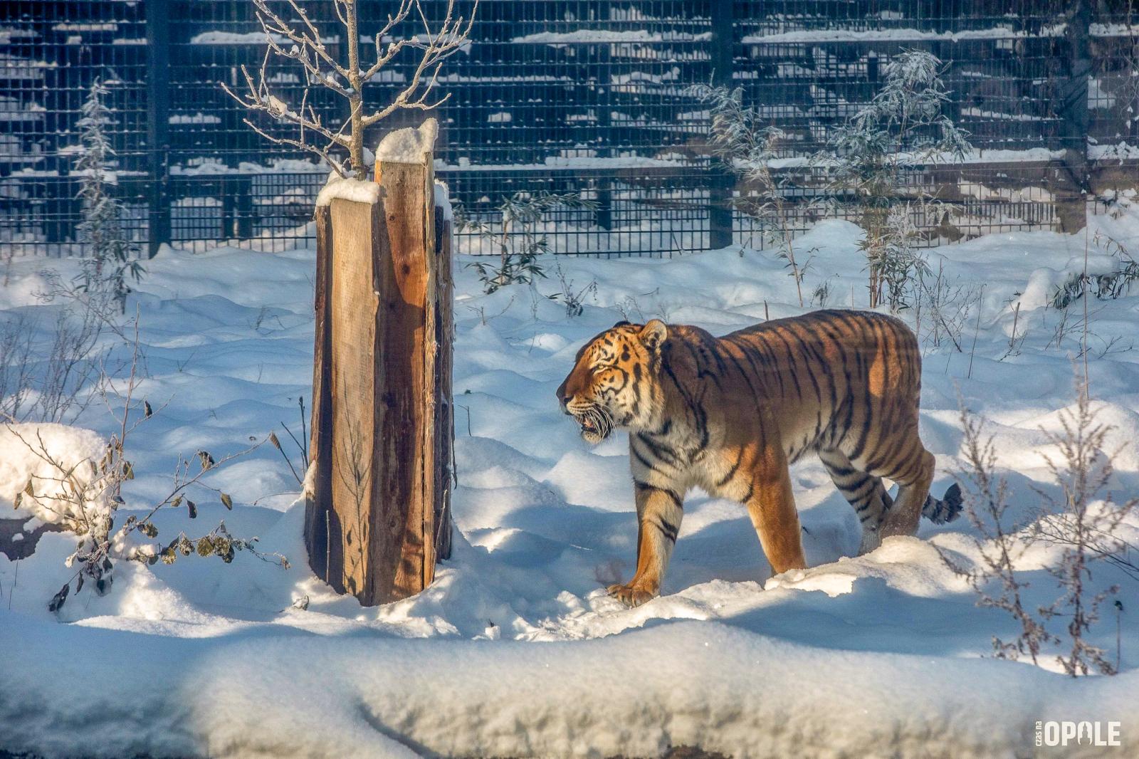 Zoo Opole, fot. Czas na Opole
