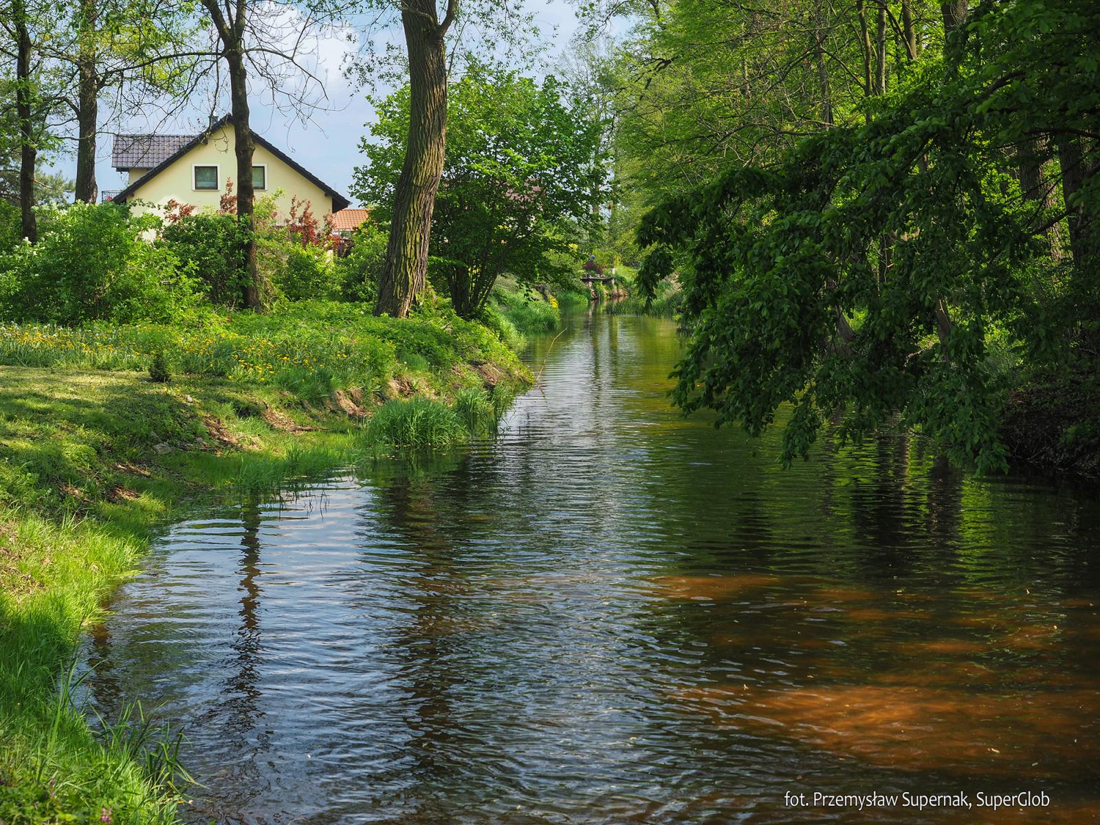 Zawada, Chrząstawa