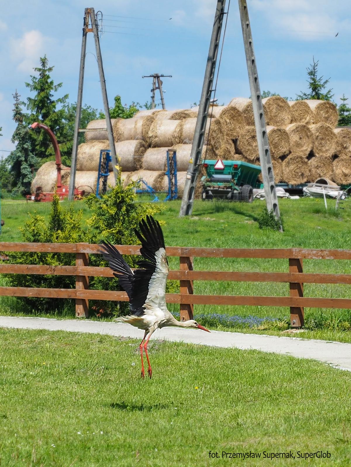 Park w Chróścinie Opolskiej