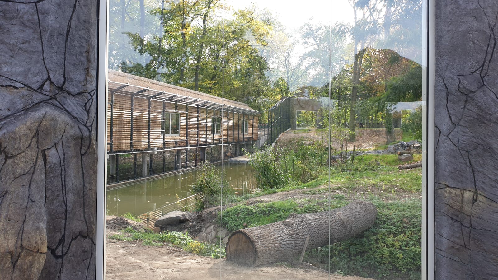 Zoo Opole, schronisko dla lwów i tygrysów
