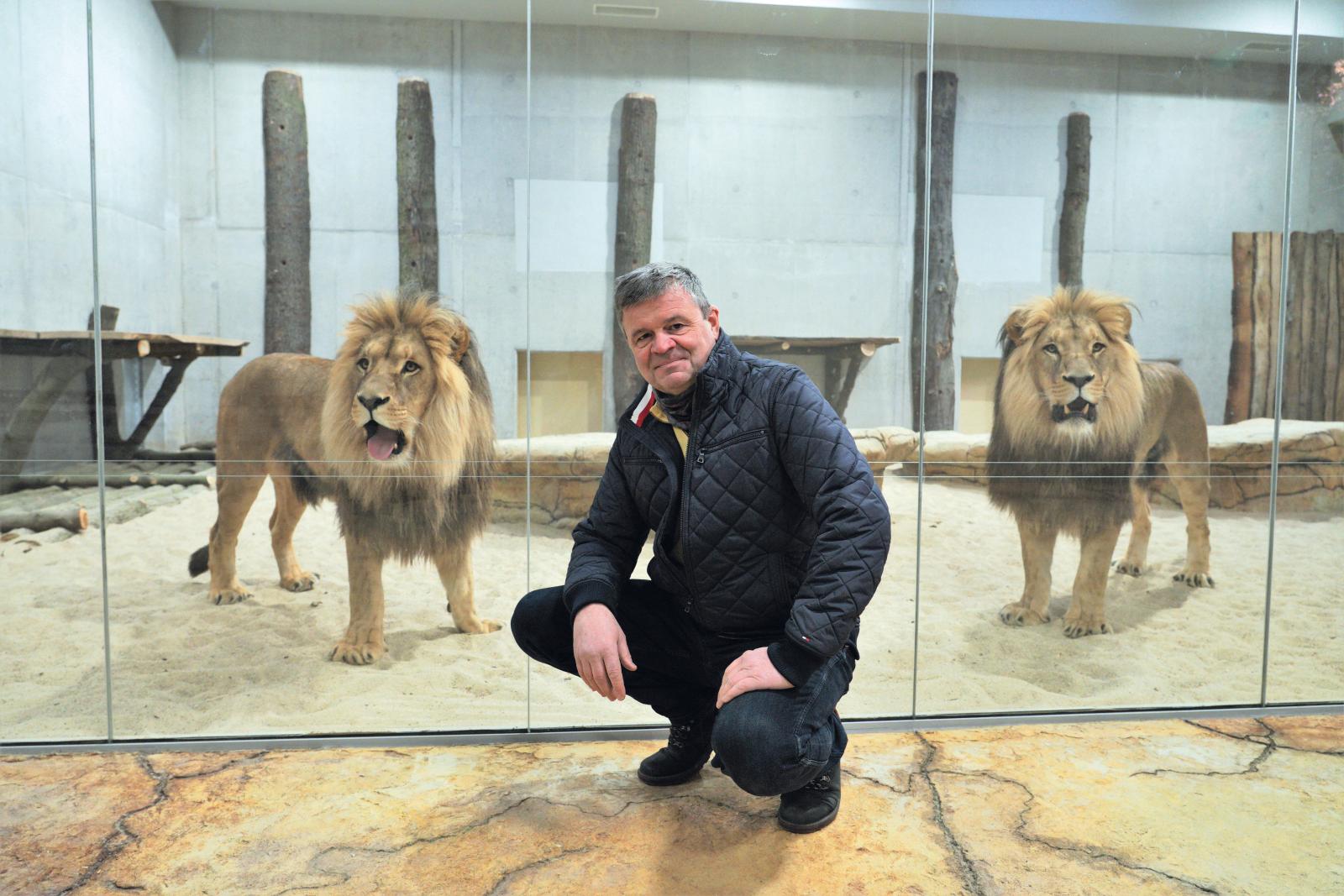 Zoo Opole, schronisko dla lwów i tygrysów