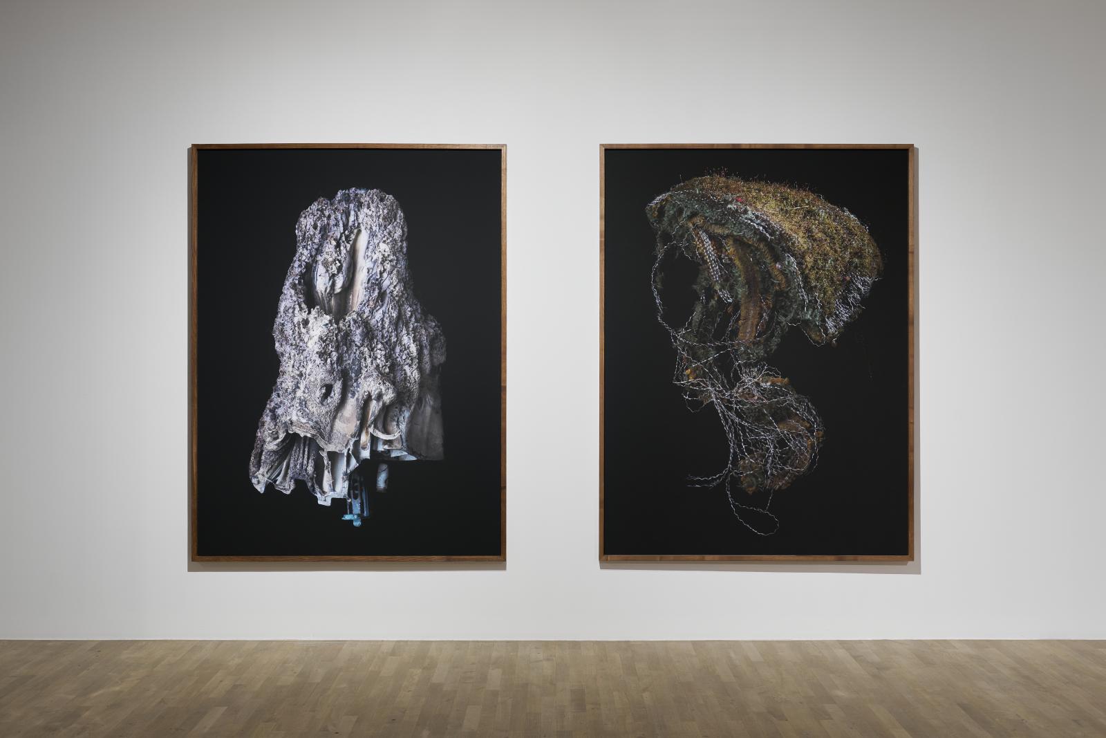 Diana Lelonek, Śmiecioroślina I / Śmiecioroślina III, 2022, fot. Tomasz Koszewnik