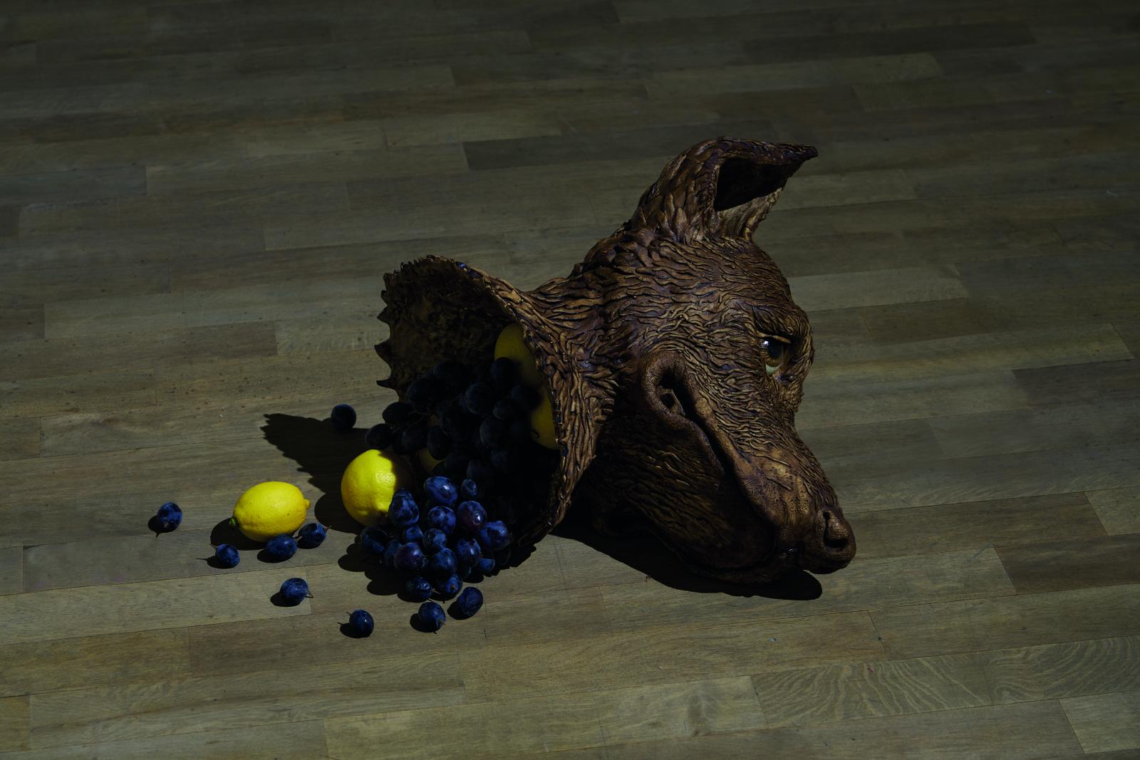 Tomasz Mróz, Głowa, 2025, fot. Tomasz Koszewnik