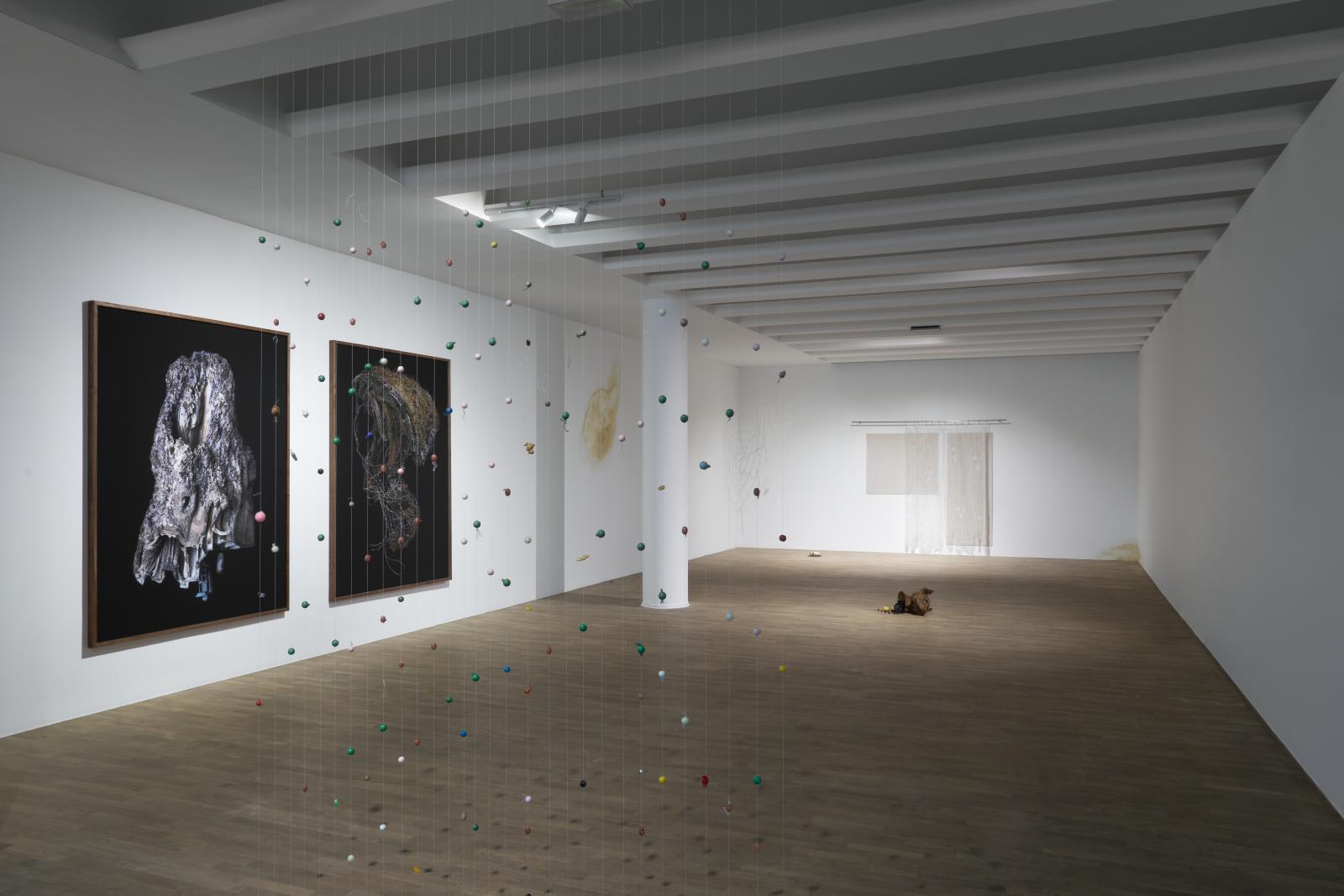 Tomasz Mróz, Głowa, 2025, fot. Tomasz Koszewnik