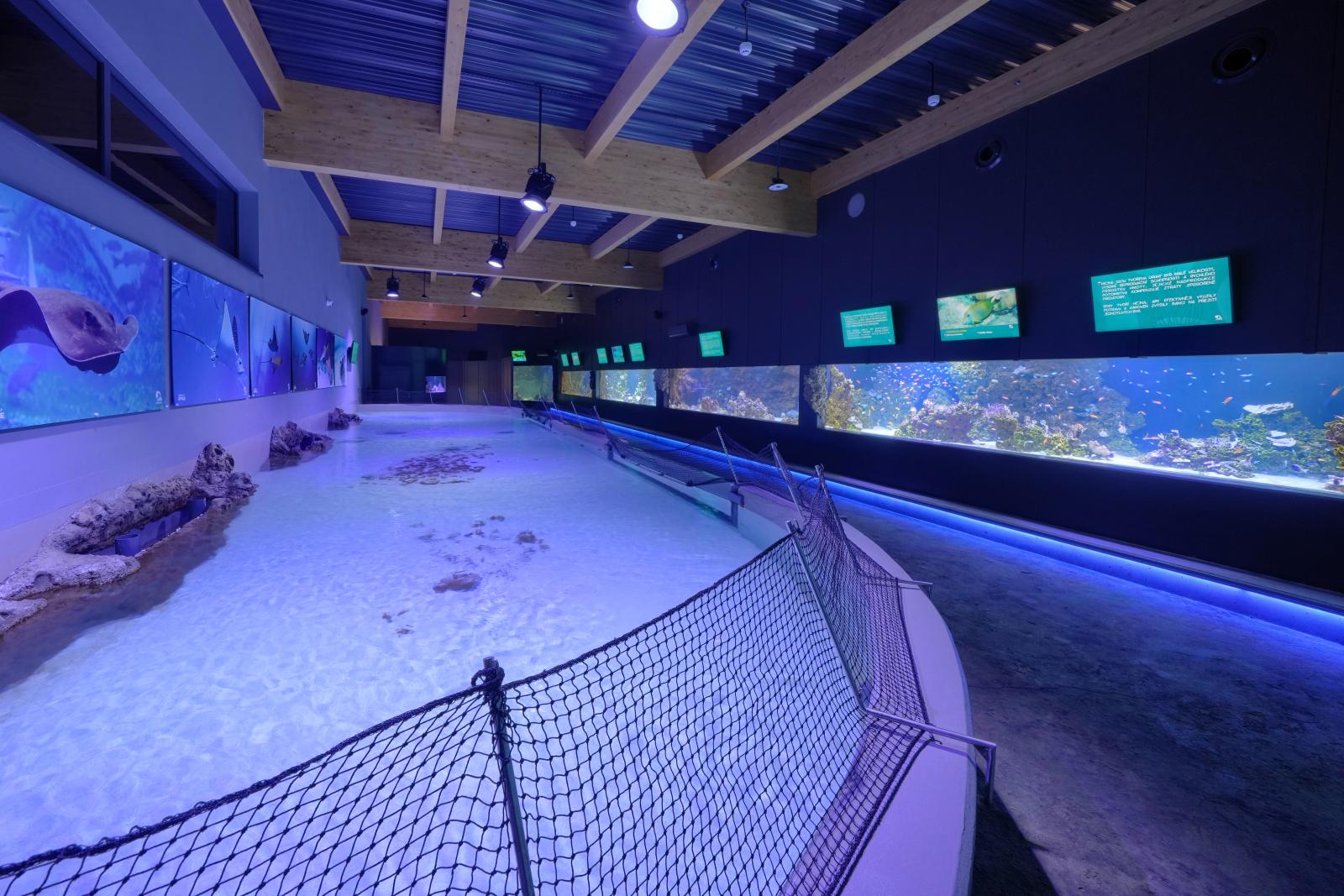 Akwarium ZOO Opole