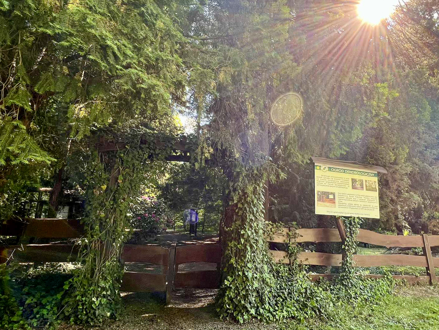 wejście do arboretum