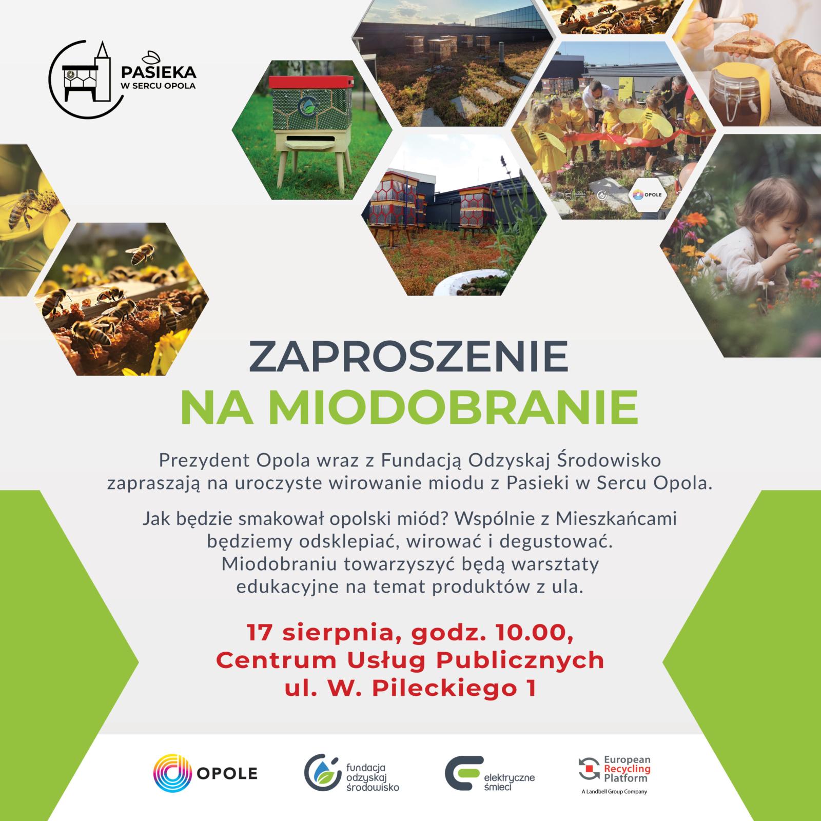 Pierwsze miodobranie baner wydarzenia