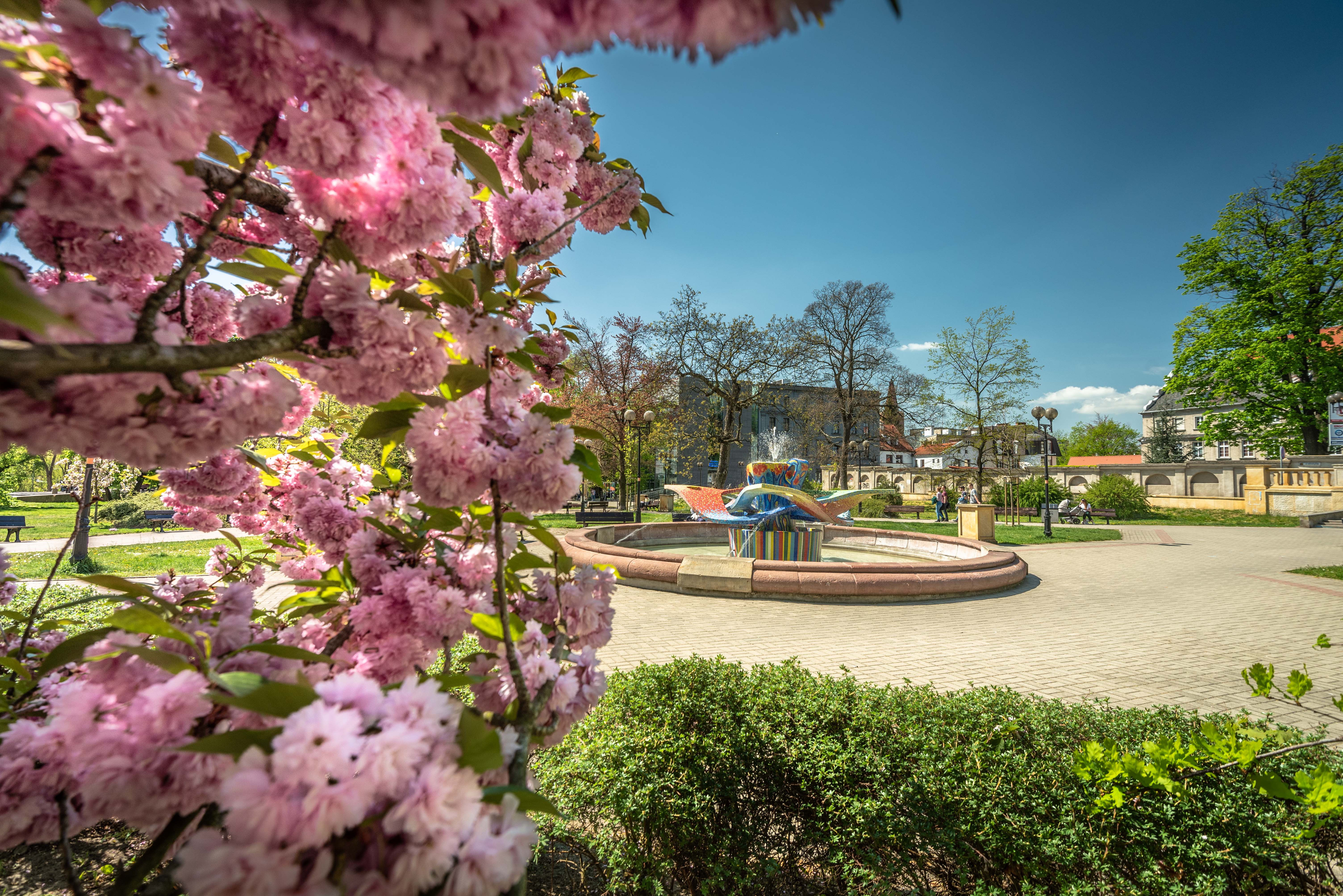 Wisenny plac Wolności z fontanną
