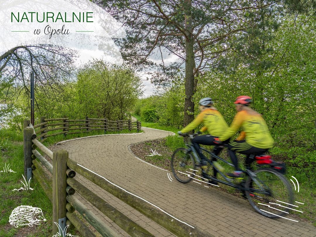 trasa rowerowa Bolko