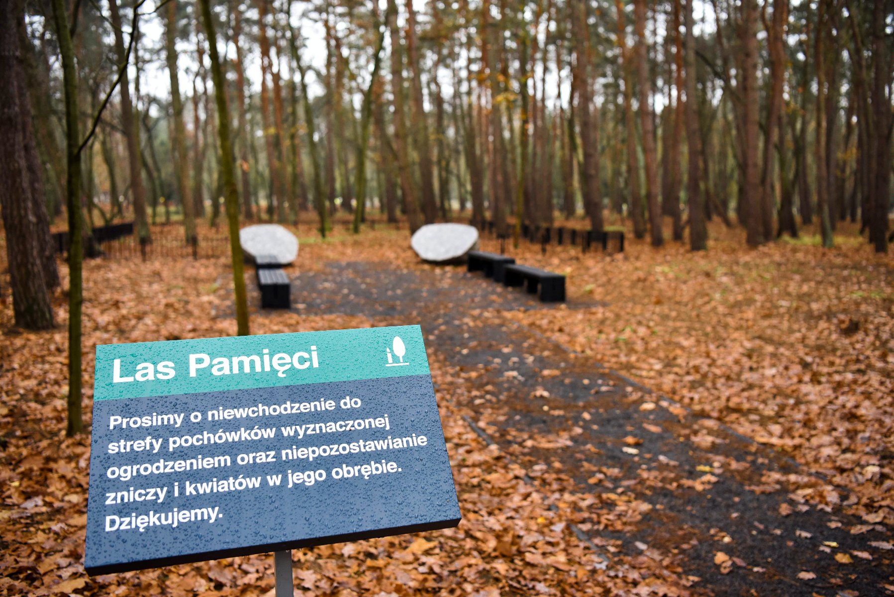 Las pamięci, fot. www.poznan.pl