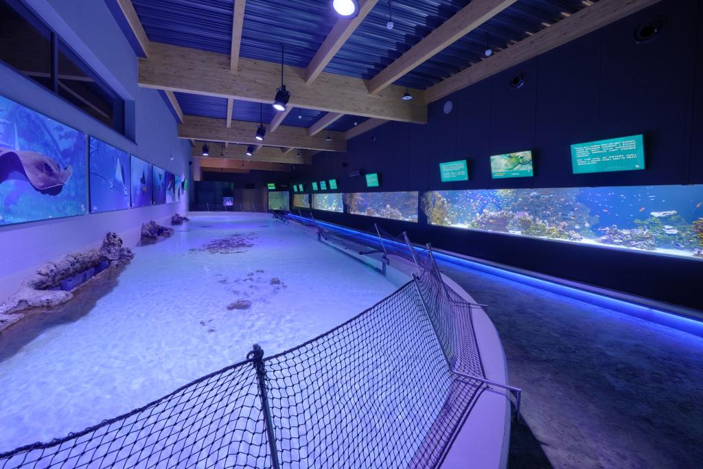 wnętrze pawilonu w zoo