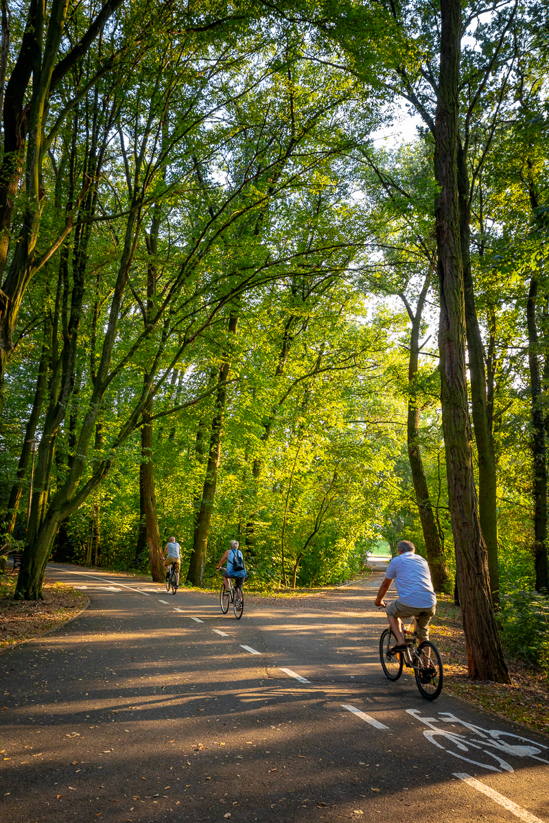 zdjęcie przedstawiające rowerzystów na ścieżce rowerowej