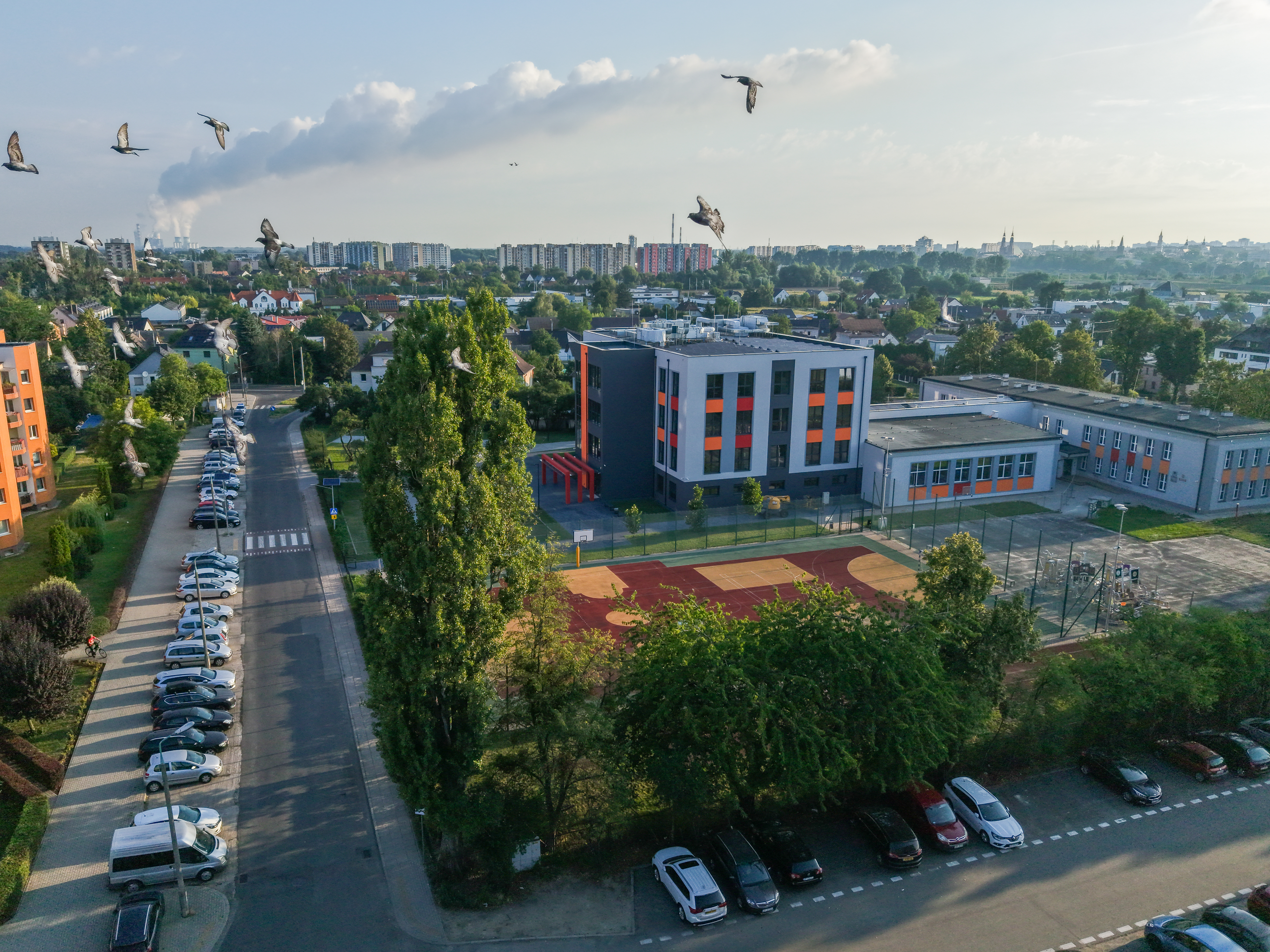 ulica, samochody, zieleń, nowoczersny budynek szkoły