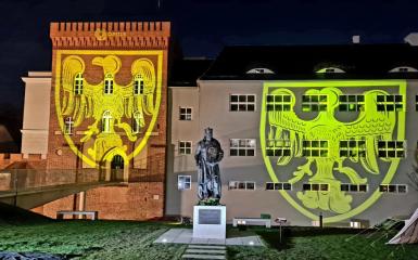 pomnik Władysława Opolczyka w Opolu