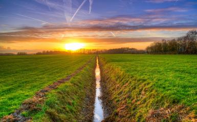 Rów rozdzielający dwa pola uprawne