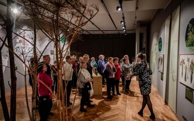 Wystawa w Muzeum Śląska Opolskiego