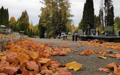 cmentarz komunalny