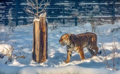 Zoo Opole, fot. Czas na Opole