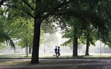 bieganie