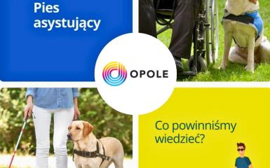 kolaż z logo opola, napisem "pies asystujący" i zdjęciem psa