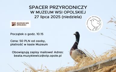 baner wydarzenia, informacje w tekście