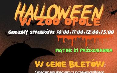 plakat wydarzenia, informacje zawarte w tekście