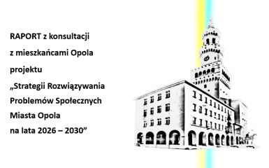  Grafika Raport z konsultacji Strategii, tekst zawarty w artykule