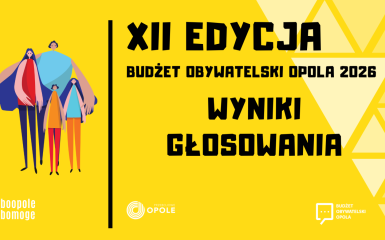 Baner, informacje zawarte w tekście