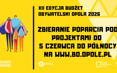 Baner, informacje zawarte w tekście