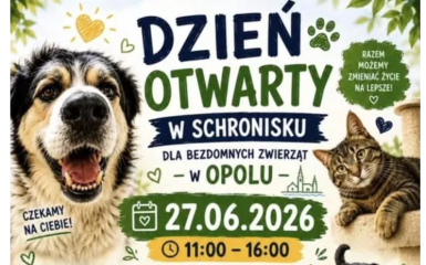 Plakat wydarzenia, informacje zostały zawarte w komunikacie