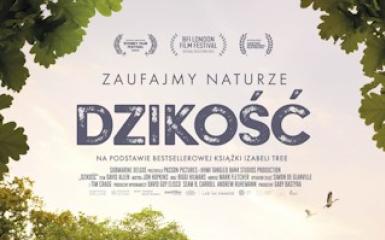 plakat filmu, informacje zawarte w tekście