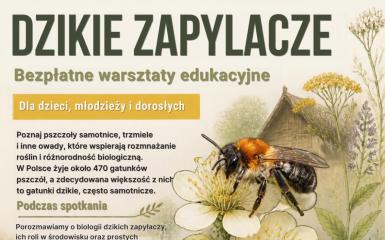 Warsztaty ” Dzikie zapylacze” w Muzeum Wsi Opolskiej