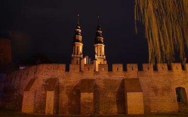 dwie wieże kościelne na tle brązowego muru nocą