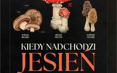 plakat filmu, informacje zawarte w tekście