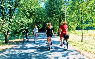 Rowerzyści jadący na Wyspie Bolko