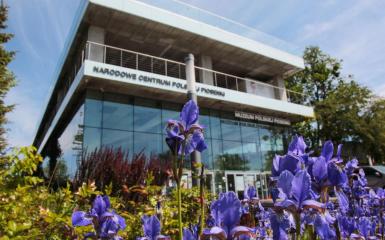 Amfiteatr Tysiąclecia w Opolu wiosną