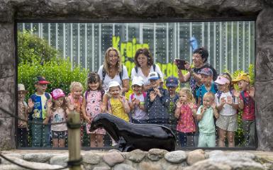 ludzie oglądający uchatkę zoo