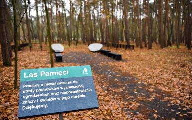 Las pamięci, fot. www.poznan.pl