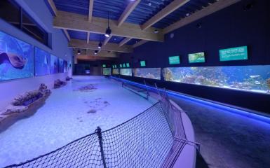 wnętrze pawilonu w zoo