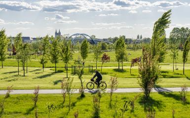 zdjęcie rowerzysty w parku 800-lecia