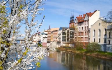 wiosna, kanał młynówka