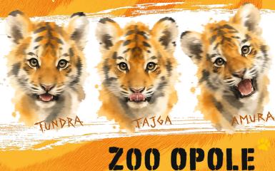 baner z informacjami