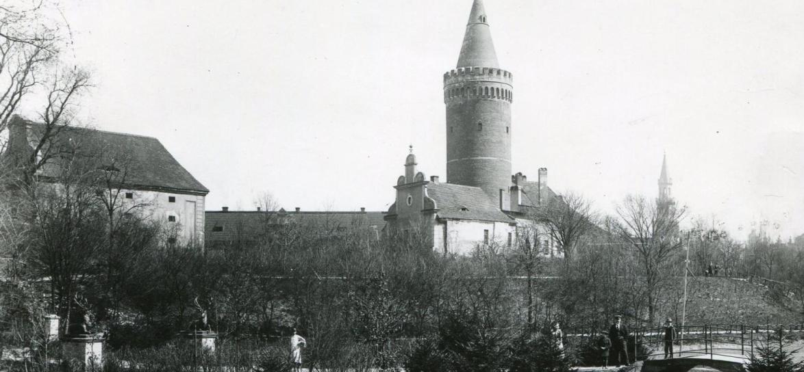 Zamek Piastowski