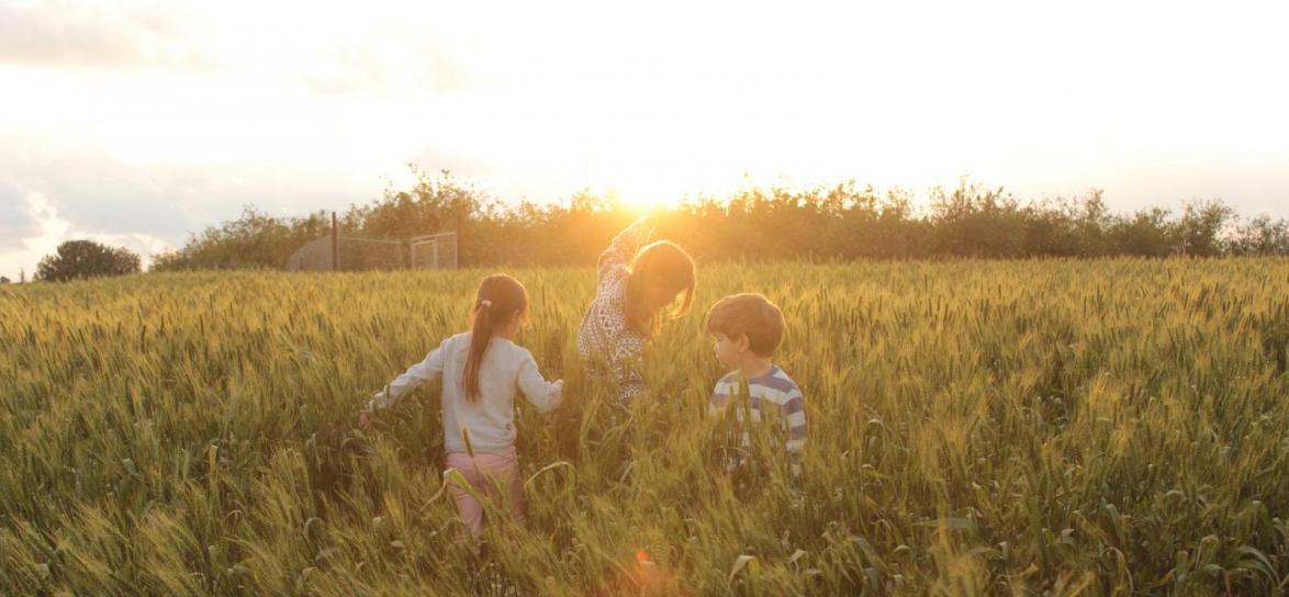 Dzieci na polu