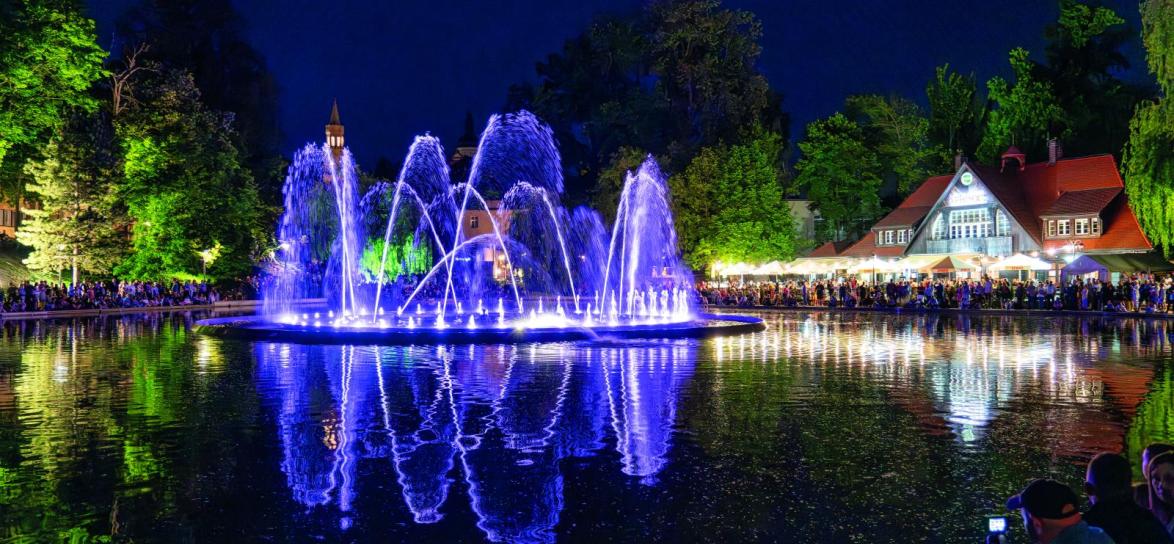fontanna na stawku zamkowym