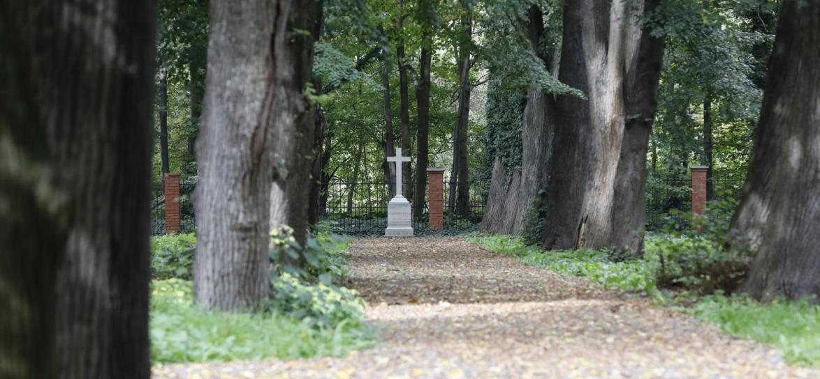 Fot. W. Chojnacki